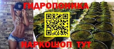 СК Обнинск