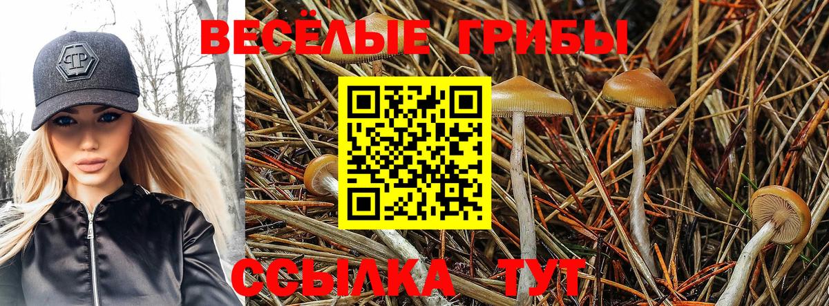 Псилоцибиновые грибы мухоморы Среднеуральск